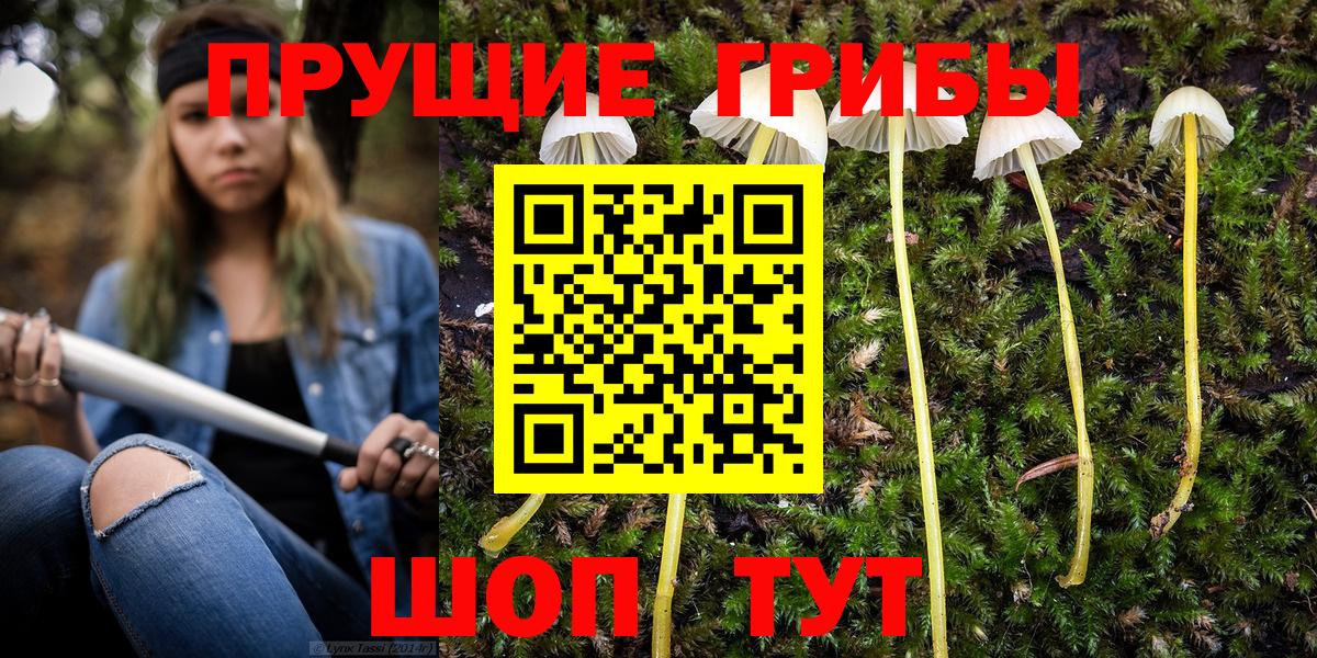 Галлюциногенные грибы Psilocybe  Галлюциногенные грибы мухоморы  Гусев  Вход с VPN 