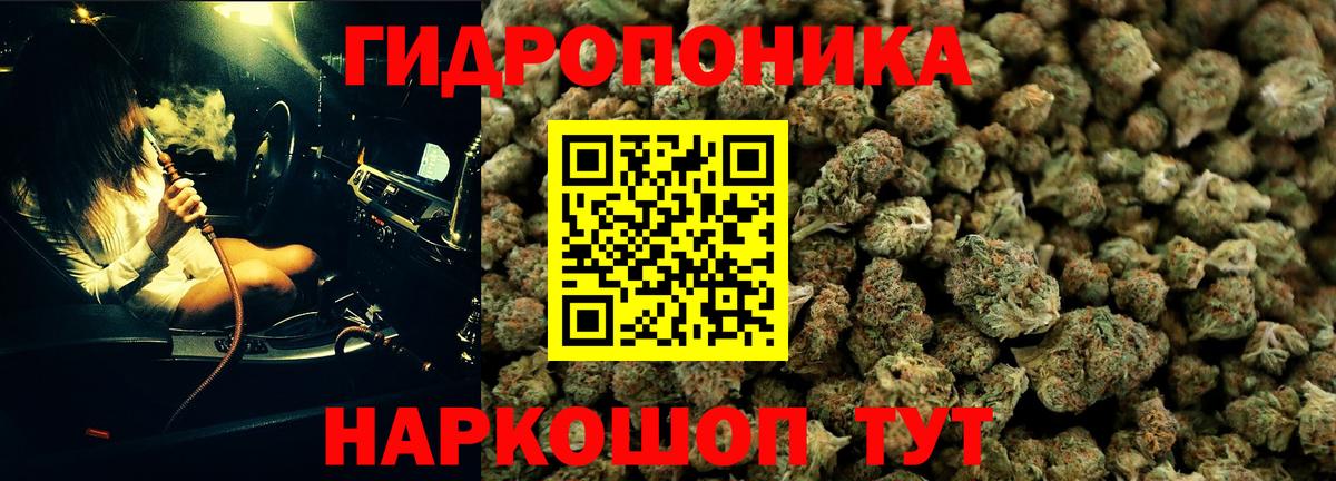 Шишки марихуана LSD WEED  Вход с VPN  Гусев  Шишки марихуана LSD WEED 